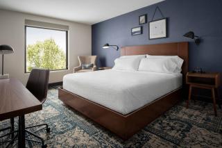 Four Points by Sheraton Austin Airport - Austin - 4