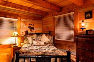 Quintessential Cabin Hot Tub Fireplace Privacy - Stoney Knob - 6