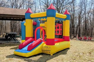 Chestnut Tree Lodge - Modern Wooded Escape - Jim Thorpe - 5