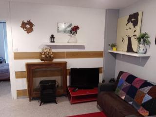 GuestHouse Familial pour 1 à 5 personnes de 42m2-accessible handic - Rez de Chaussée-Vues sur Rue et Patio Privé - Séjour,Chambre séparée,Cuisine,Salle de Bain,Lit double et 2 Canapé-lit - Entrée de la Rue Berzélius-5 minutes du Métro Brochant-Ligne13 - Paris - 1