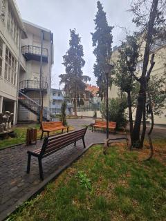 Art Nova 15 - Tbilisi - 2