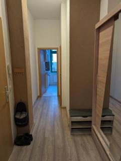 Helle Ferienwohnung Schloßchemnitz - New Apartment - Chemnitz - 4