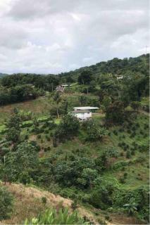 Hacienda Rolón - Mayaguez - 1