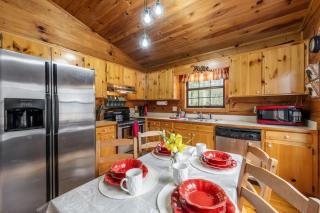Cute Sun and Fun Cabin Hot Tub - Pet friendly - Blue Ridge - 8