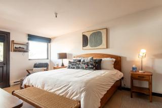 Christophe Condo 712 - Ketchum - 1