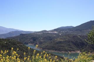 Casa Azahar - Saleres - 3
