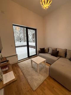 Terase Zlatibor apartmant 115 - 5