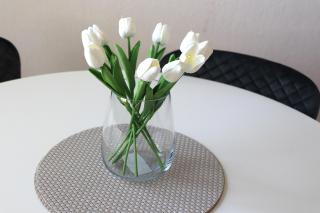 Ferienwohnung Borkum - Holtgast - 8