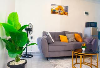Golden Mango Heights, B903, Kilimani - Nairobi - 7