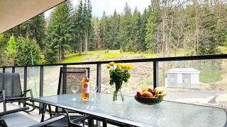 OnHoliday Apartamenty Premium przy Gondoli ze strefą Wellness & Family, ul Strumykowa 7 - Świeradów-Zdrój - 7