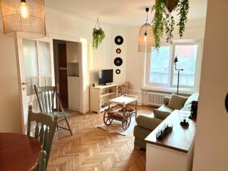 Debrecen Central 2 bedroom Apartment - Debrecen - 5