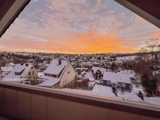 Helles Bergblick Luxus Apartment - Braunlage - 9