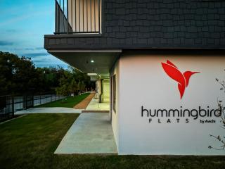 Upstay Brand New Contemporary Apartment near SoCo - Austin - 7
