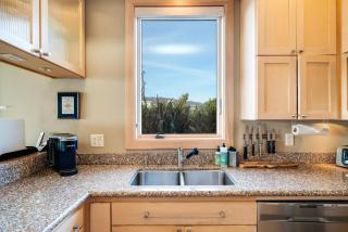 Aria 2-MCA#1376 - Manzanita - 1