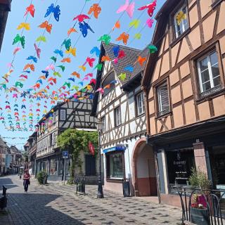 Appartement cosy - Centre de Barr - Route des Vins - 9