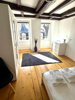 Duplex Le Léonor - Strasburgo - 4