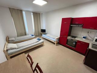 Apartmans for 2 or 6 peoples 12 min by walk from the center - Brno - 0