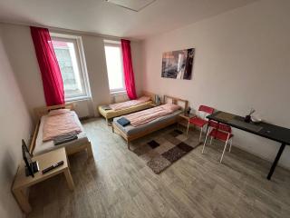 Apartmans for 2 or 6 peoples 12 min by walk from the center - Brno - 4