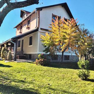 Casa BRA Viștișoara - 6