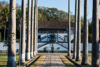 Fazenda São Luiz da Boa Sorte - Vassouras - 0