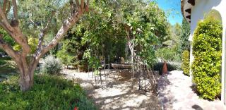 Paradise Garden Sea-View Finca Local Style - Altea - 1