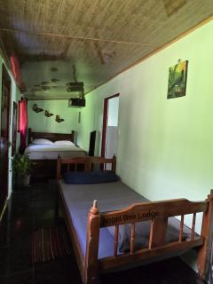 Angel Bee Lodge - Fortuna - 6