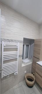 Bel appartement Belfort centre-Gare - Belfort - 5