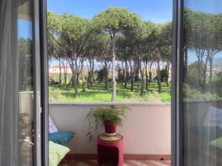 Confortevole appartamento tra spiaggia e pinete - Scauri - 2