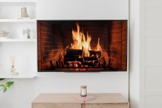 Specious Bright Flat with Garden in Central London - 7