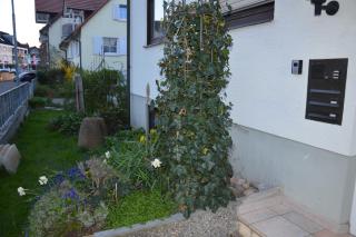 Ferienwohnung Diana - Rust - 8
