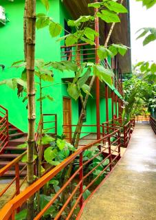 Corcovado & Drake Inn - Drake - 6