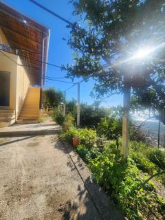 Guest House Borshi - Borsh - 0