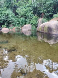 Casa das Orquídeas - 3