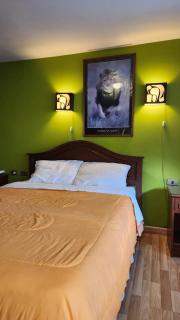Violetas Studio - Cochabamba - 1