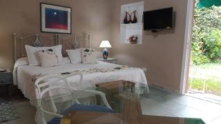 Hermoso Departamento con Patio, pleno centro - Salta - 5