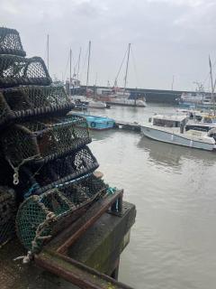 Winston House Guesthouse - Bridlington - 8