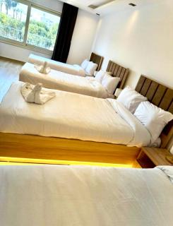 Gold pyramid view inn - 4