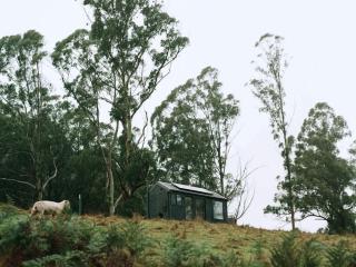 Off-Grid Cabin Surrounded by Nature - Hot Tub - Arlo - Hallston - 8