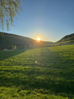Kjellerleilighet - - 2