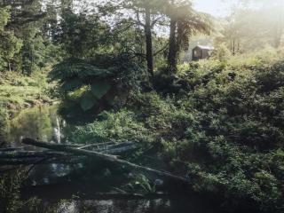 Secluded Off-Grid Cabin Tucked Into The Bush - Bastian - - 9