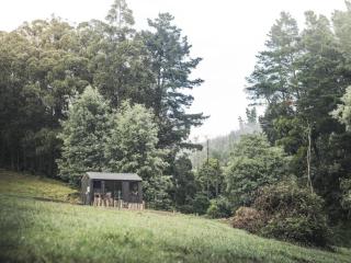 Secluded Off-Grid Cabin Tucked Into The Bush - Bastian - 5