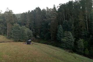 Secluded Off-Grid Cabin Tucked Into The Bush - Bastian - - 3