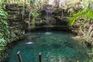 Tropical Oasis with Cenote & Pool Walk to Beach - Playa del Carmen - 5