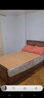 شقه مفروشه بالإسكندرية - Alessandria d'Egitto - 1