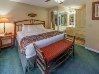 Beautiful 2BD condo in lakefront resort with lots of outdoor onsite activities - 4