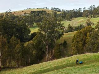 Hike to your Off-Grid Cabin Deep in Nature - Santi - 8