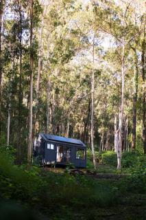 Off-Grid Cabin Tucked into Nature - Pet Friendly - Mahli - - 2