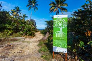 Mango house bliss - Las Galeras - 4