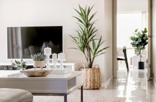 Unley House - Central - Close to City - Dog Friendly - Free Parking - Unley - 0