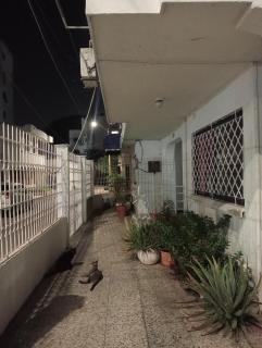 Tranquila y cerca de la magia - 6